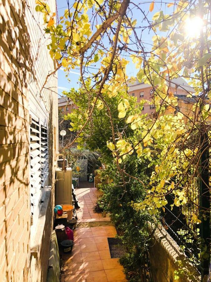 Baldissera Эстелла Экстерьер фото